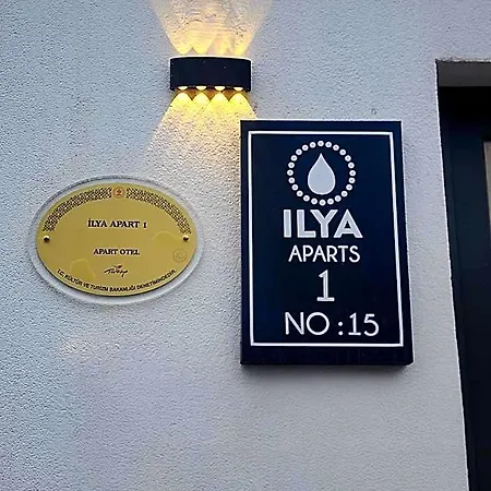 Ilya 1